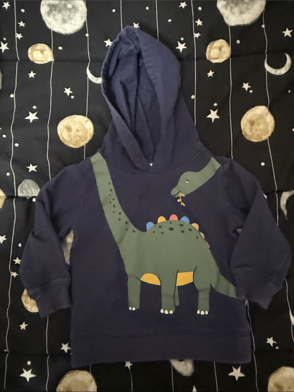 Carter's Navy Hoodie with Green Dinosaur Graphic